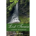 Lost Twain: A Novel of Hawai'i