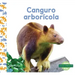 Canguro Arborícola (Tree Kangaroos)