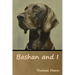 Bashan and I