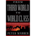 From Third World to World Class: The Future of Emerging Markets in the Global Economy