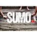 Sumo