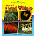 What Is a Living Thing?