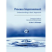 Process Improvement: Understanding a Basic Approach - Companion Guidebook to How to Be an Effective Analyst