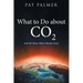 What to Do About Co2: And All Those Other Ghastly Gases