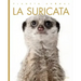 La Suricata