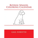 Boykin Spaniel Coloring Calendar