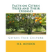 Facts on Citrus Trees and Their Diseases: Citrus Tree Culture