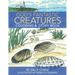 God's Fantastic Creatures: Coloring & Story Book
