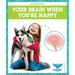 Your Brain When You're Happy