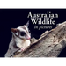 Australian Wildlife in Picture: Celebrating the Unique Nature of the Island Continent, from Kangaroos to Sea Dragons