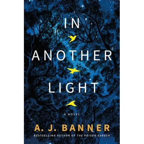 In Another Light