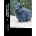 Commercial Rabbit Farming