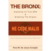 The Bronx: Exposing its True DNA & Breaking The Stigma