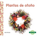 Plantas de Otono (Fall Plants)