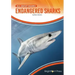 Endangered Sharks