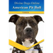 American Pit Bull Terriers