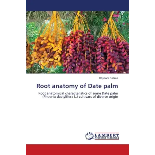 Root anatomy of Date palm