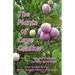The Plants of Caye Caulker