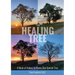 The Healing Tree: A Book of Haikus to Honor One Special Tree