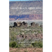 Right Place, Right Time: The Journey of a Pueblo of Laguna Native