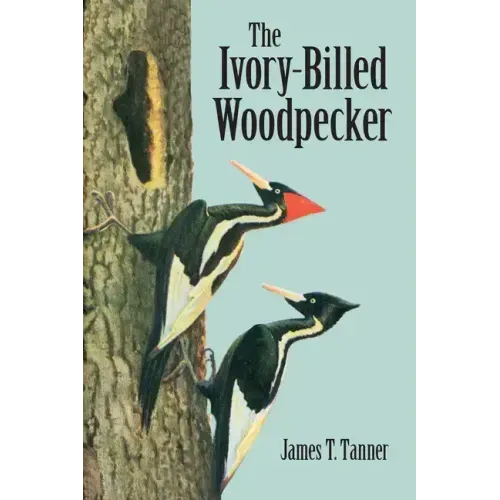 The Ivory-Billed Woodpecker