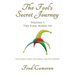 The Fool's Secret Journey Volume 1: The Fool Wakes Up