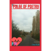 Pulse of Poetry: Volume 1: Every Story Has A Beginning