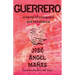 Guerrero: A Novel of Conquest and Resistance