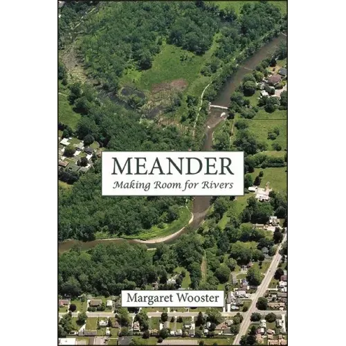 Meander: Making Room for Rivers
