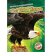 The Bald Eagle