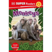 DK Super Readers Level 1 Monkeys
