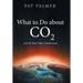What to Do About Co2: And All Those Other Ghastly Gases