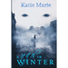 A Man in Winter