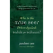 Who Is the True Seer Driven by God: Balak or Balaam?: A Text Linguistic and Literary Study of Numbers 22-24