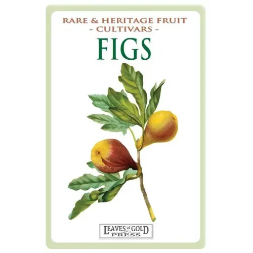 Figs: Rare and Heritage Fruit Cultivars #13