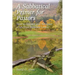 A Sabbatical Primer for Pastors: How to Initiate and Navigate a Spiritual Renewal Leave