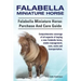 Falabella Miniature Horse. Falabella Miniature horse: purchase and care guide.: purchase and care guide. Comprehensive coverage of all aspects of buyi