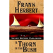 A Thorn in the Bush
