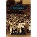 Sycamore