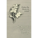 A Manual for Wood Carving