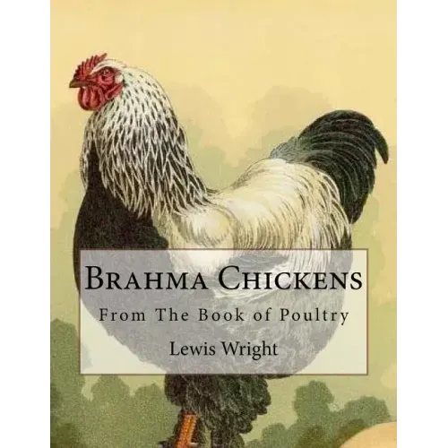 Brahma Chickens: From The Book of Poultry