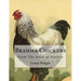 Brahma Chickens: From The Book of Poultry