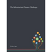 The Infrastructure Finance Challenge