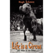Life is a Circus: Das leben ist ein Zirkus