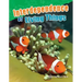 Interdependence of Living Things