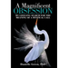 A Magnificent Obsession: My Lifelong Search for the Meaning of a Mystical Call