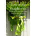 Growing Staghorns from Spore