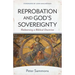 Reprobation and God's Sovereignty: Redeeming a Biblical Doctrine