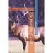 Elk Hunting Guide: What you need to know to be a successful Elk Hunter