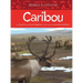 Animals Illustrated: Caribou
